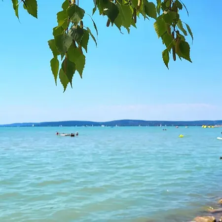 Fenyves Venkovský dům *