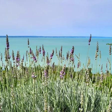 Fenyves Venkovský dům Balatonakarattya