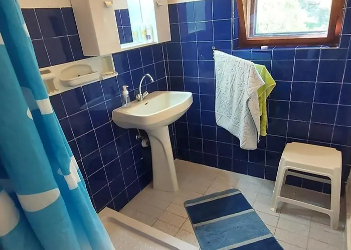 Fenyves バラトンアカラッチャ