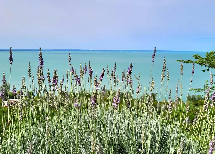 Fenyves カントリーハウス バラトンアカラッチャ